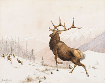 Elk in Snow par Allan Brooks