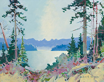 Skylight, Desolation Sound by Robert Genn