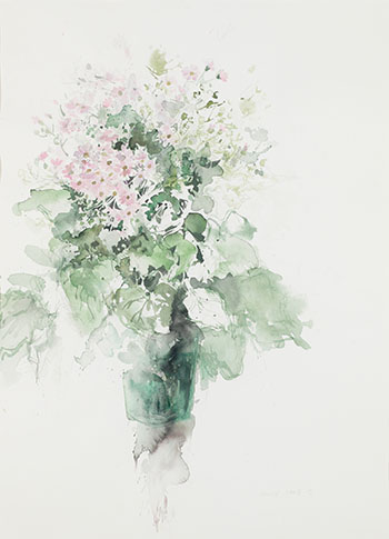 	Pink Cineraria by Molly Joan Lamb Bobak