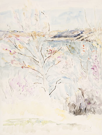 Birch Tree on the Riverbank by Dorothy Knowles