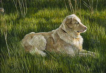 Spring Nap by Alan Bateman