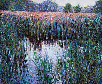 Bog, Early Morning #1 by Brent McIntosh