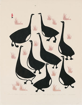 Canada Geese in Summer by Simeonie Quppapik