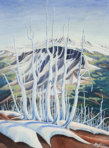 Silver Forest by Donald M. Flather