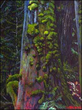 Cedar and Moss by Tiko Kerr