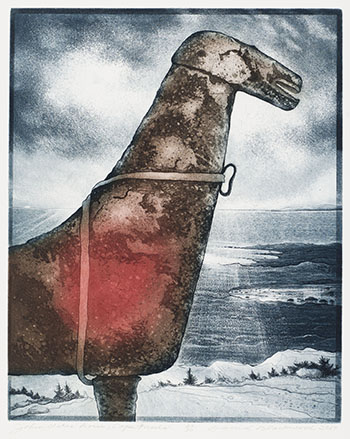 John Stokes' Horse: Cape Freels by David Lloyd Blackwood