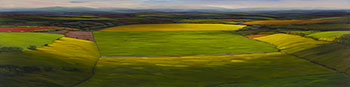 Springbank by Ross Penhall