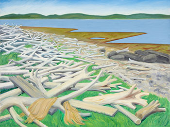 Driftwood Beach at Port au Choix (030712) by Doris Jean McCarthy