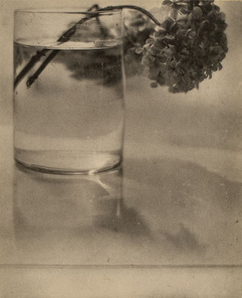 Still Life (Hydrangeas in Glass), 1908 par Adolph de Meyer