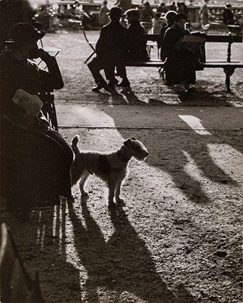 The Luxembourg Garden in the afternoon, 1928 par André Kertész