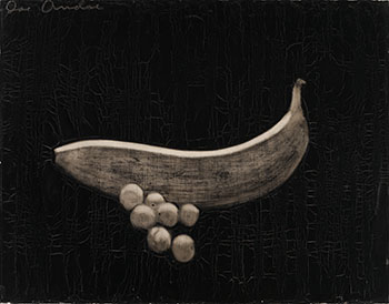 Banana and Fruit by Joe Andoe