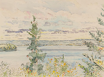 Waskesui Lake from the Viewpoint par Dorothy Knowles