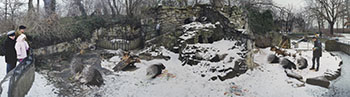 Display for Porcupines (Hystrix Africae Australis) Zoologischer Garten, Berlin by Scott McFarland