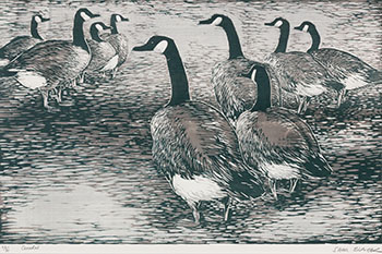 Canadas by Sam Black