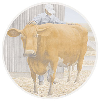 Prize Cow by Alexander Colville