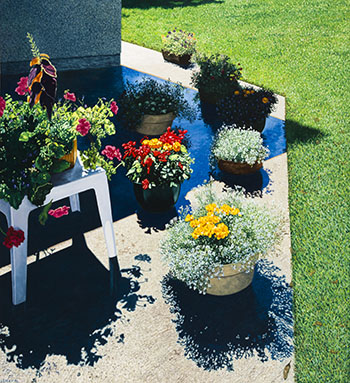 Patio Shadows #6 by Robert Lemay