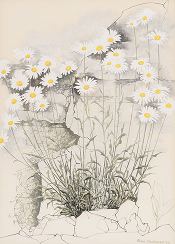 Daisies par Grant Kenneth Macdonald