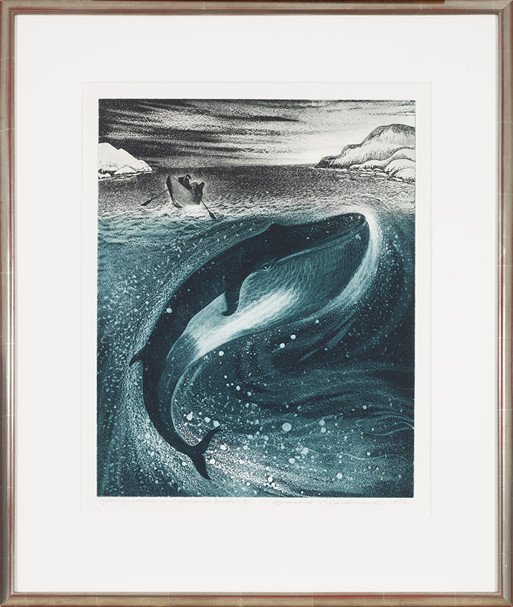 Young Whale in Greenspond Tickle par David Lloyd Blackwood