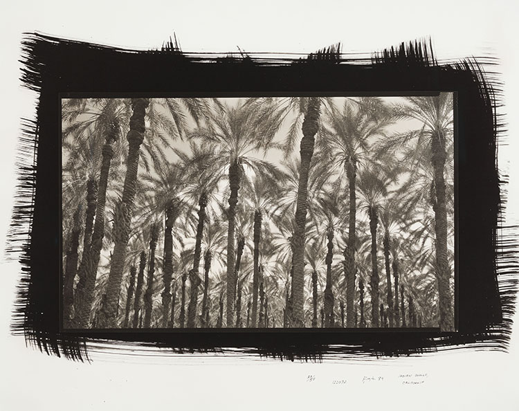 Indian Wells, California by Dick Arentz