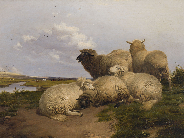 Five Sheep with Cows in Canterbury Meadows par Thomas Sidney Cooper