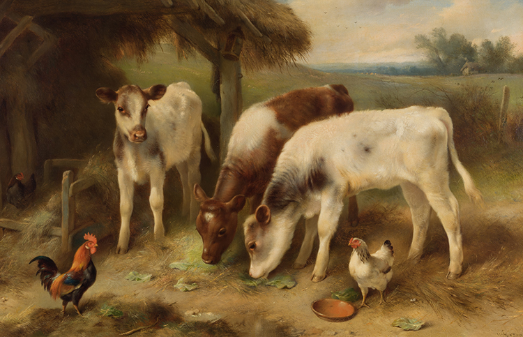 Three Young Calves par Walter Hunt