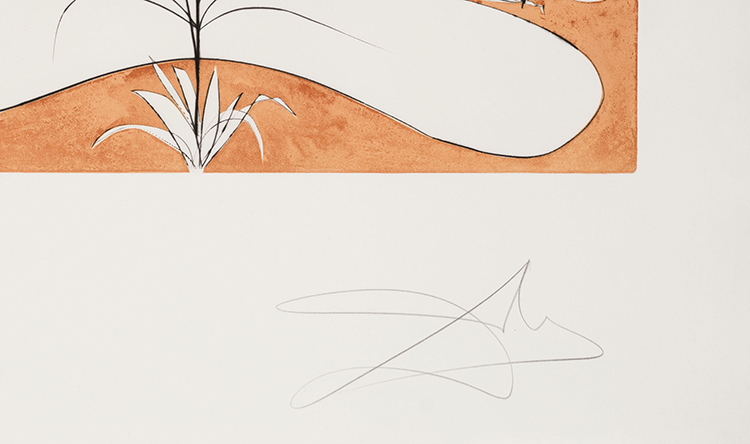 La Conquête du Cosmos I par Salvador Dali