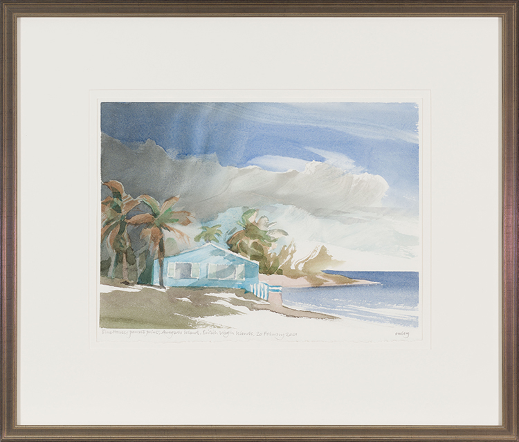 Blue House, Pomato Point, Anegada Island, British Virgin Islands by Toni (Norman) Onley