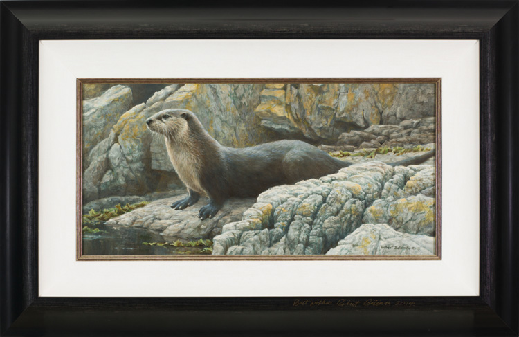 Shoreline - Otter par Robert Bateman