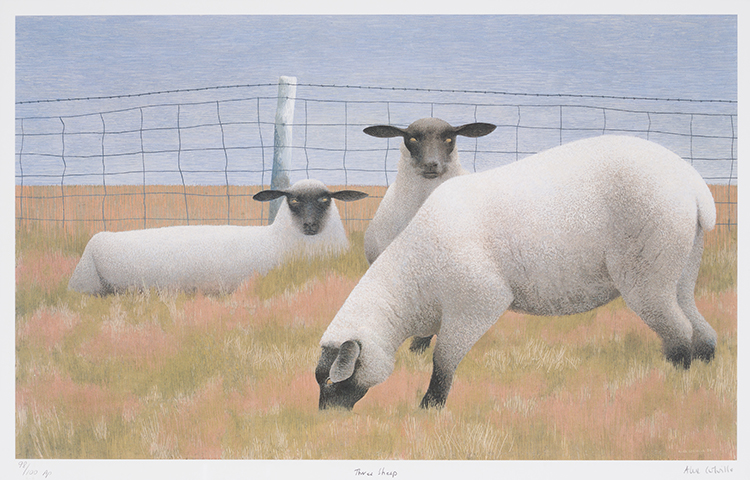 Three Sheep par Alexander Colville