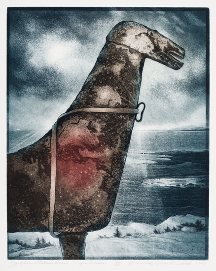 John Stokes' Horse: Cape Freels par David Lloyd Blackwood
