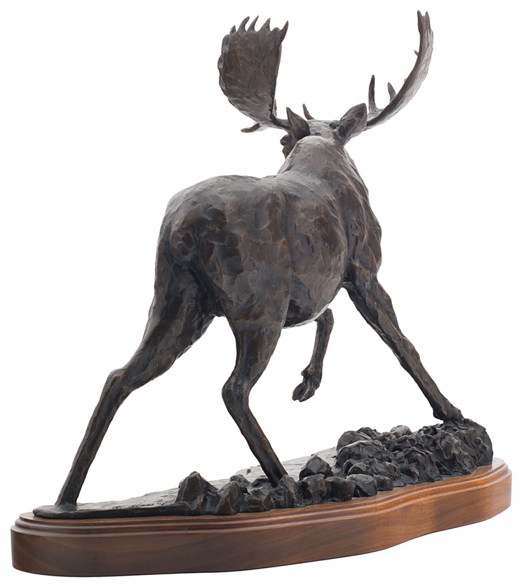 Startled Bull Moose by Peter Sawatzky