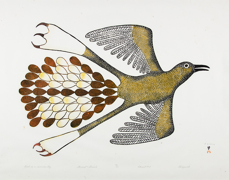 Bird in a Summer Sky par Kenojuak Ashevak