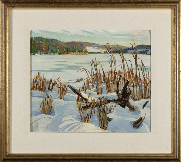 Bullrushes in Snow, Haliburton par Doris Jean McCarthy