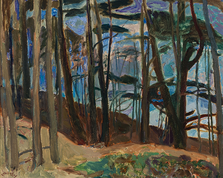 Pinnacle Hill - Woods Near Doon par Frederick Horsman Varley