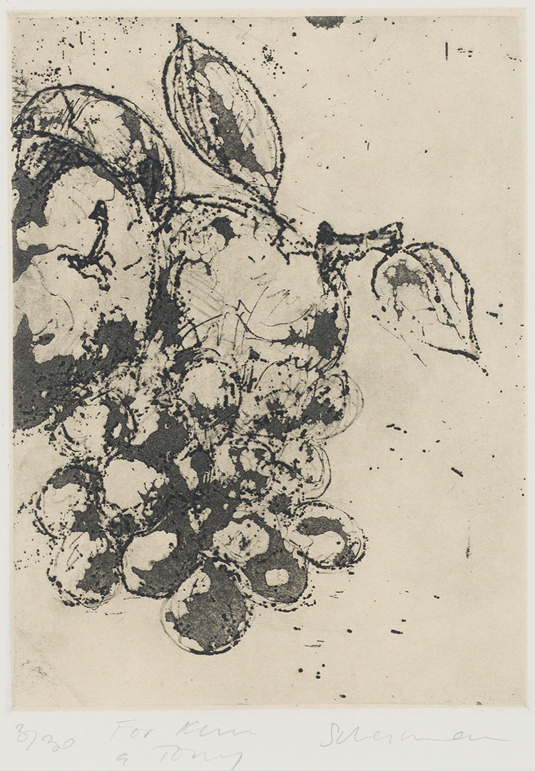 Mixed Fruit par Antony (Tony) Scherman