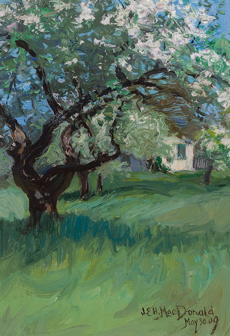 Flowering Tree par James Edward Hervey (J.E.H.) MacDonald