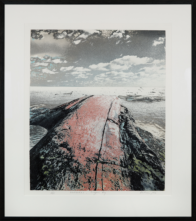 Whalesback #3 par Edward John Bartram